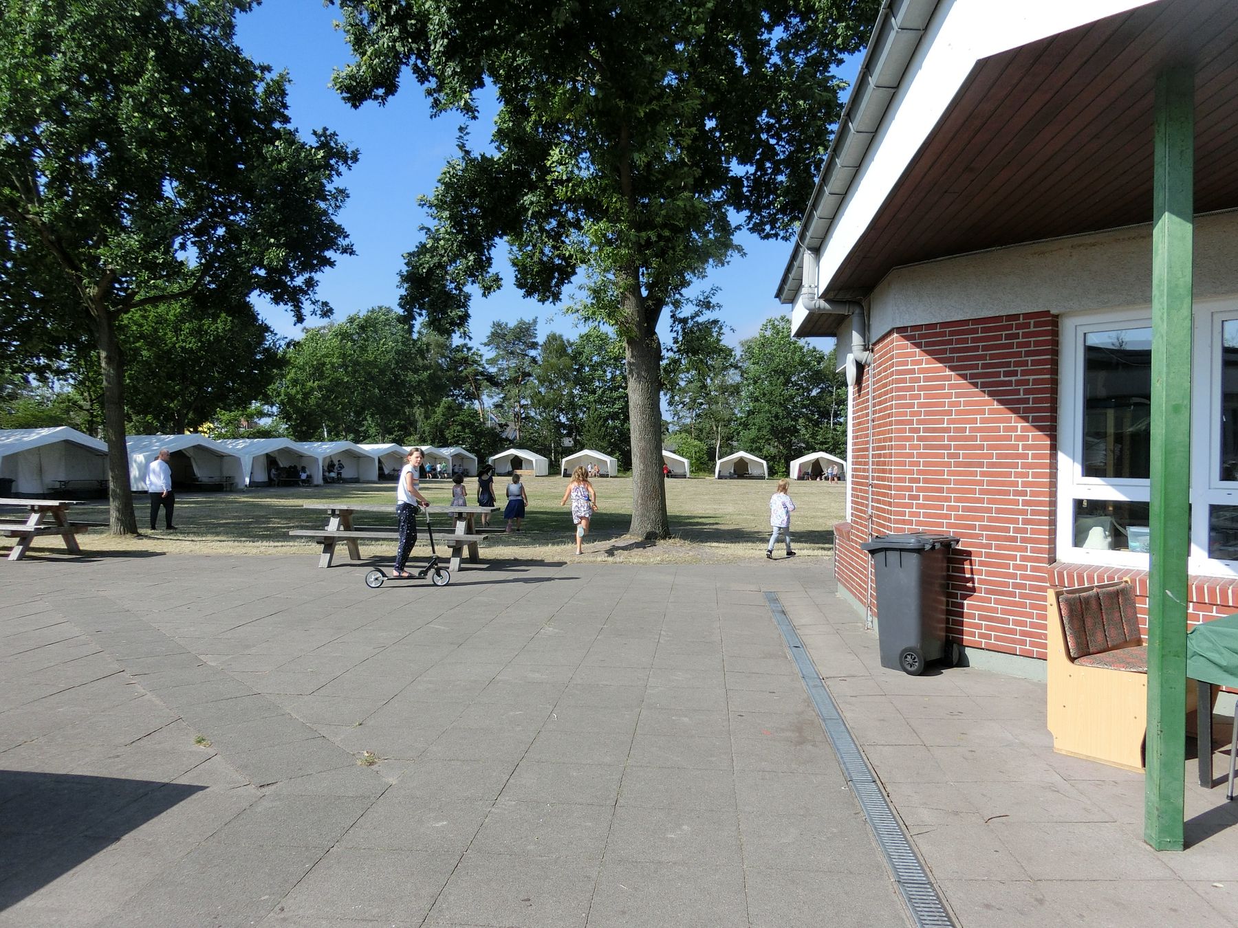 20190728227.JPG
