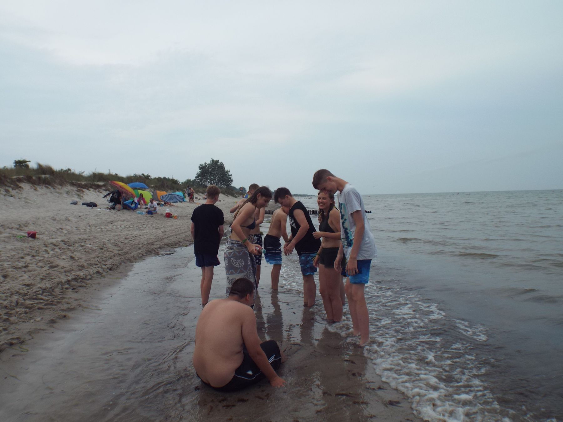 20190729072.JPG