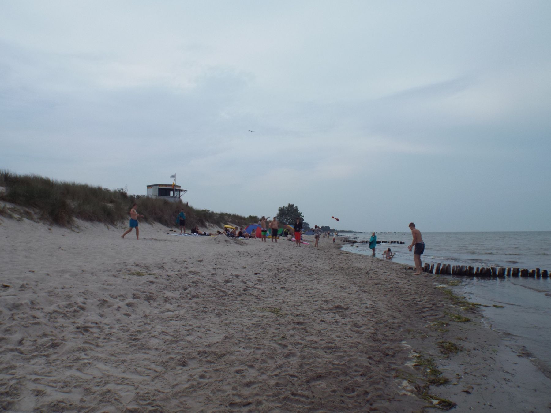 20190729088.JPG