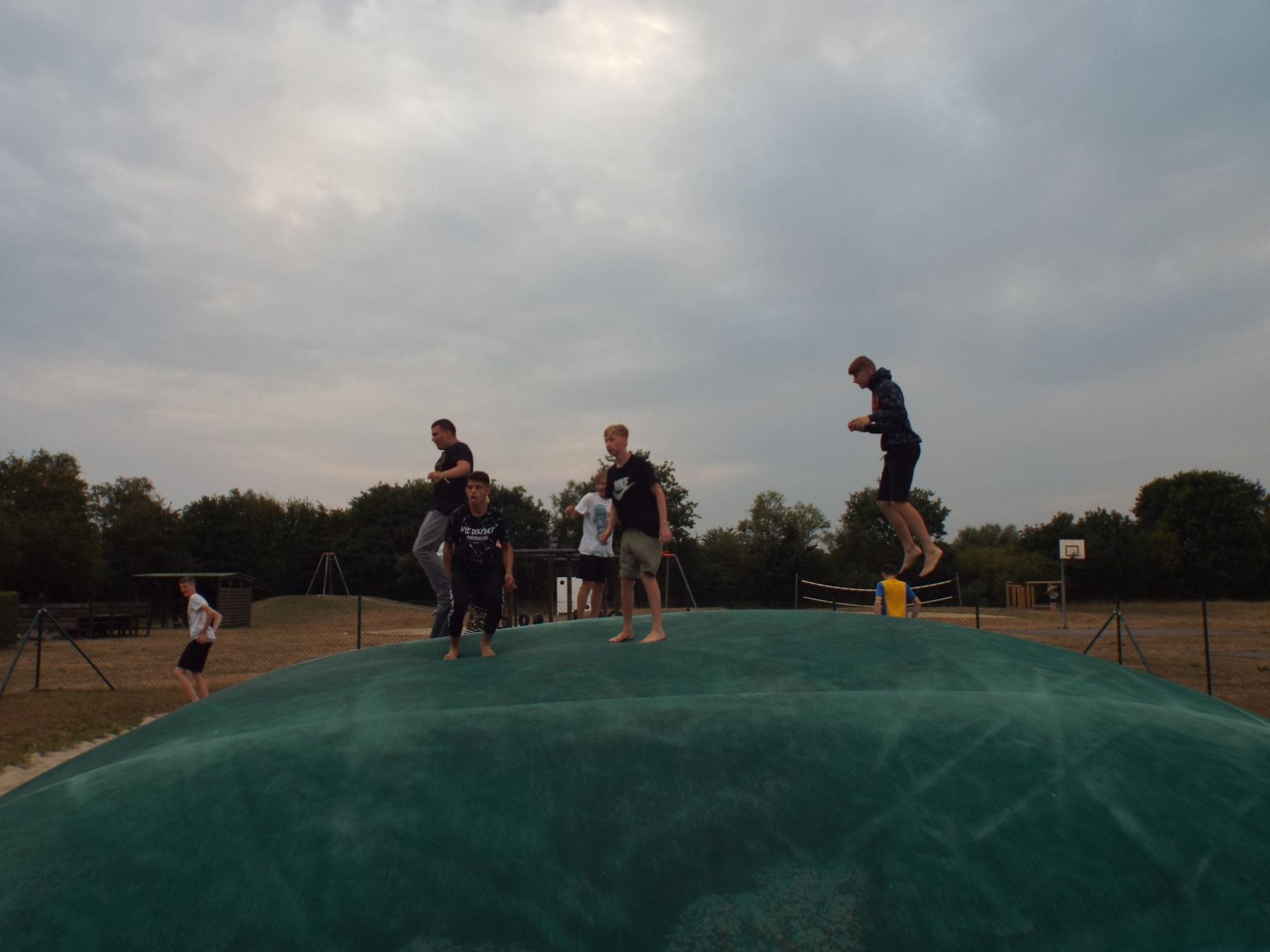 20190729208.JPG