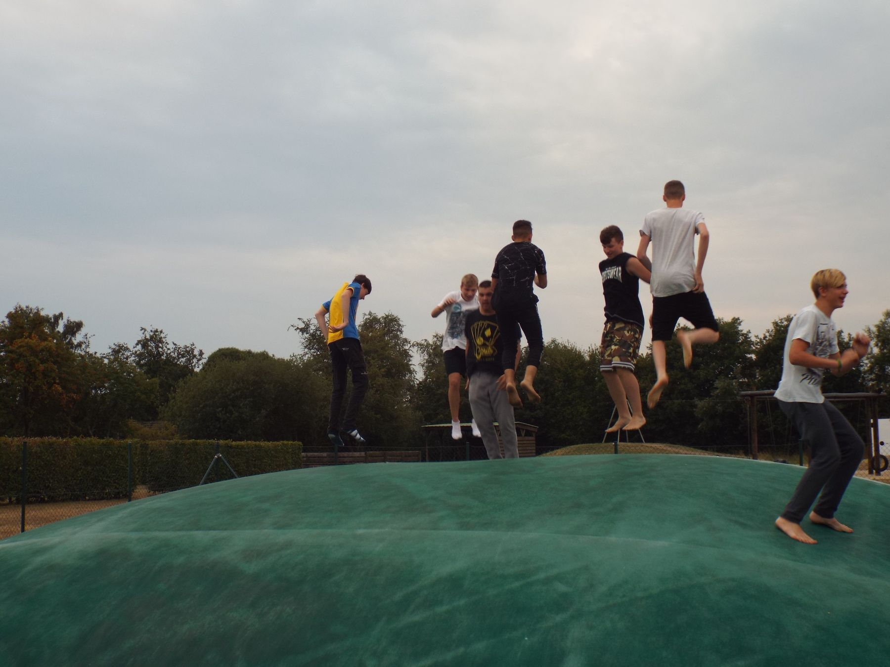 20190729210.JPG