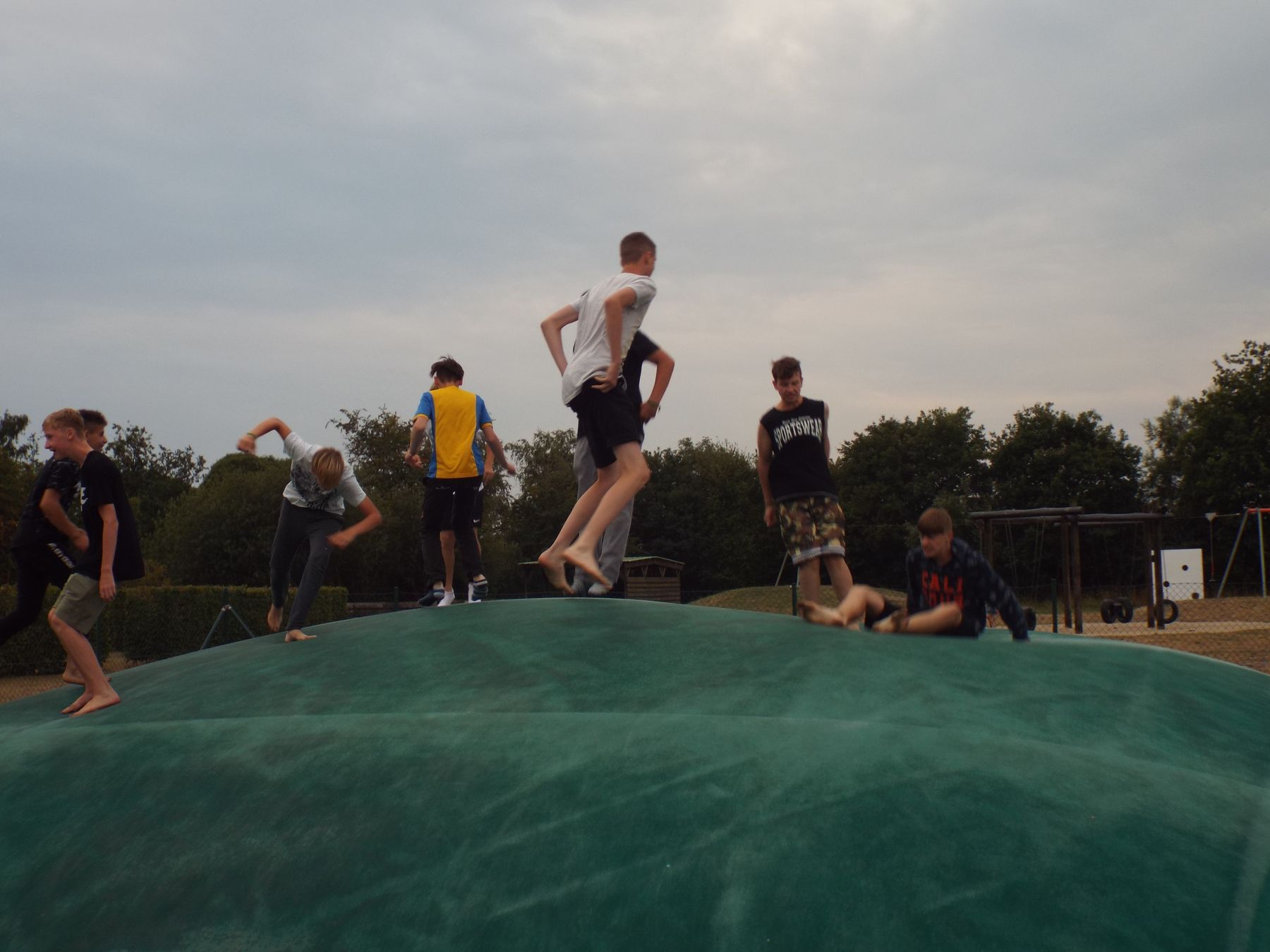 20190729211.JPG