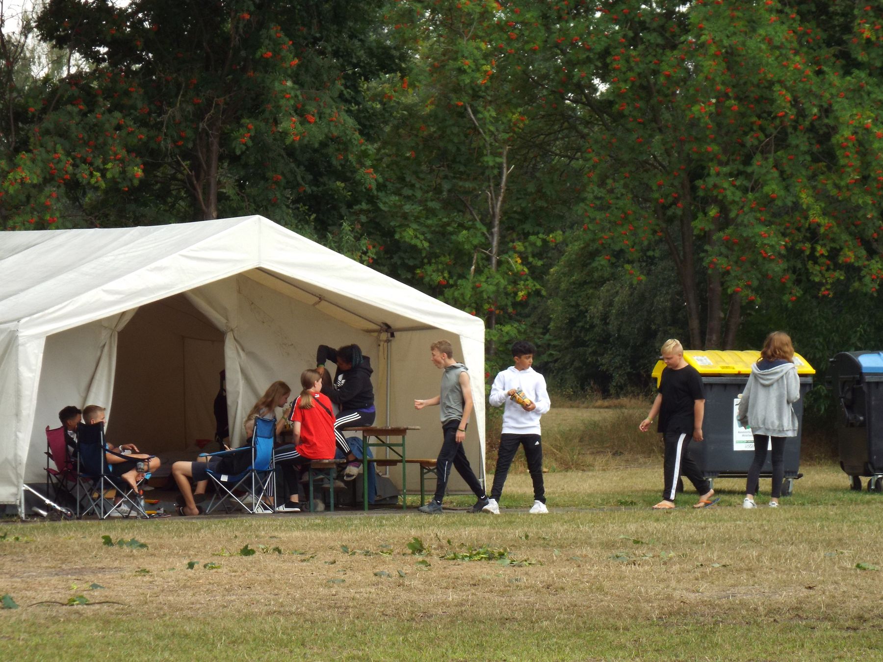20190731115.JPG