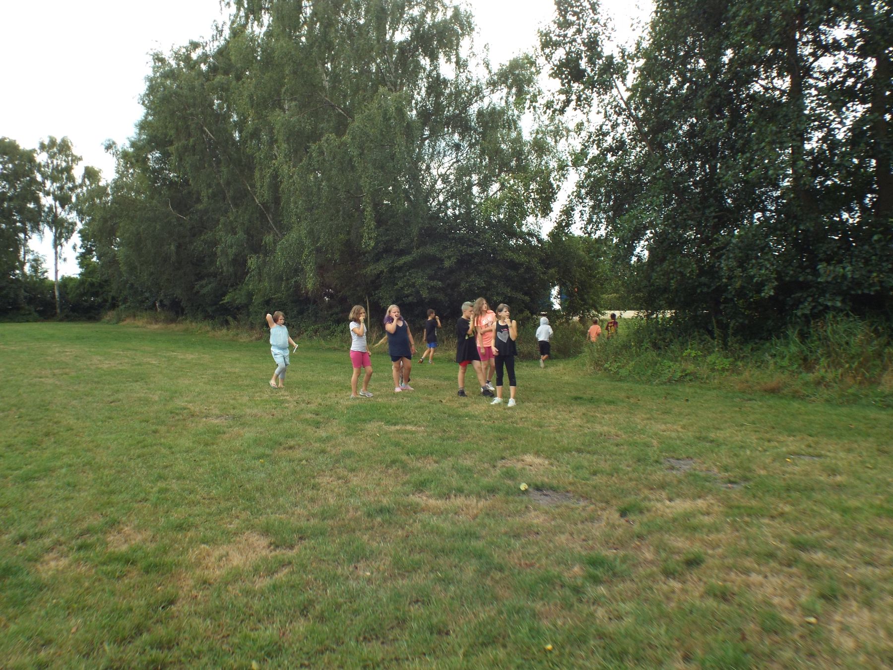 20190804150.JPG