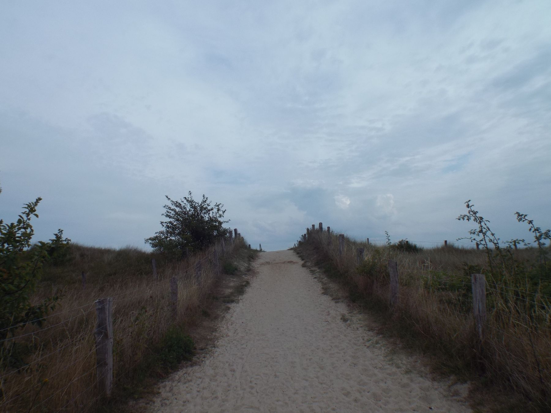 20190805091.JPG