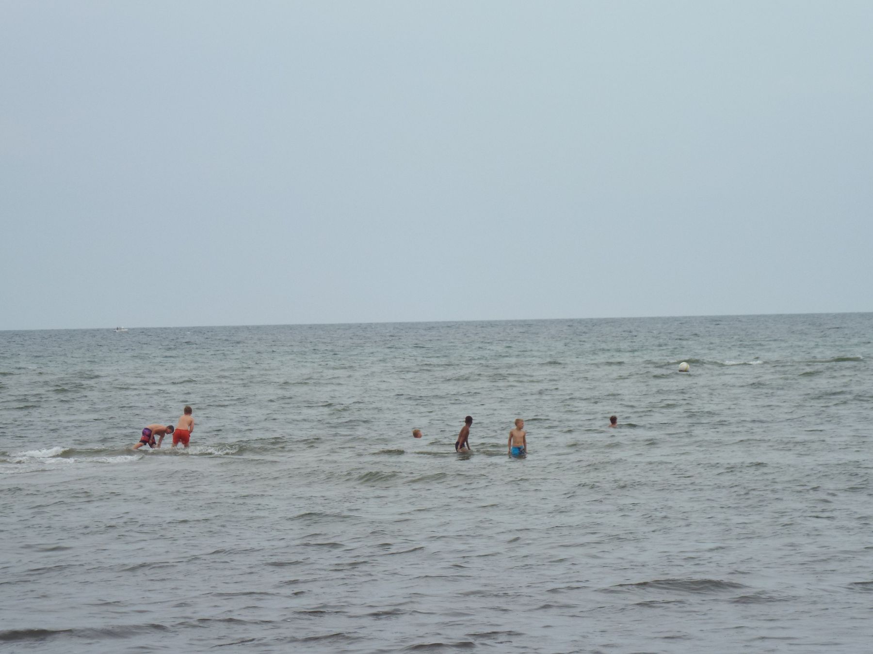 20190805093.JPG