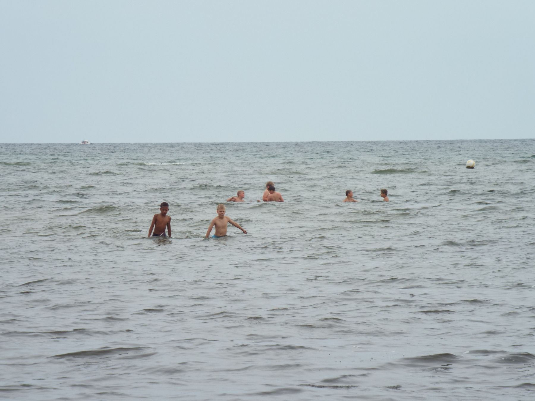 20190805095.JPG