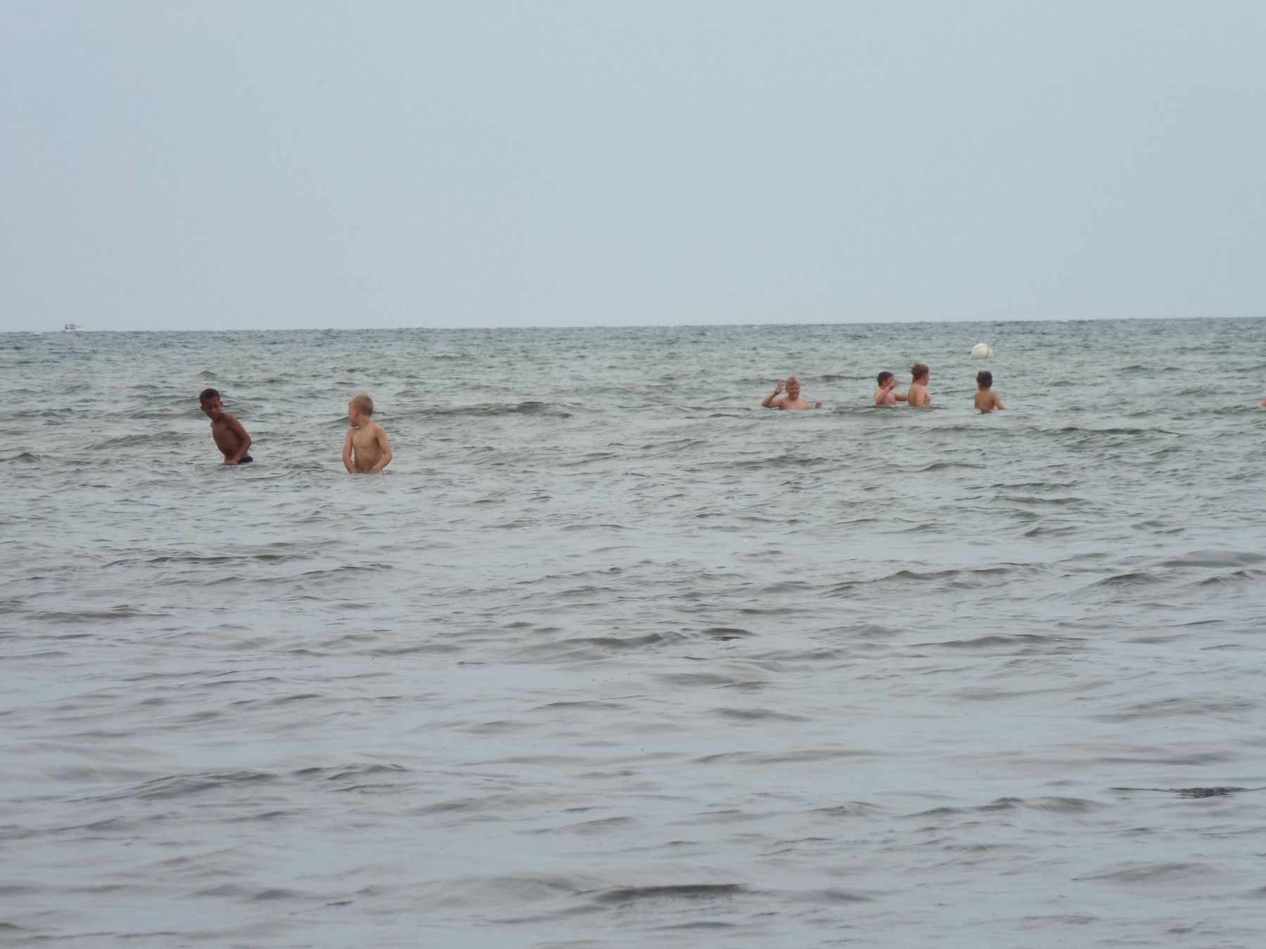 20190805097.JPG