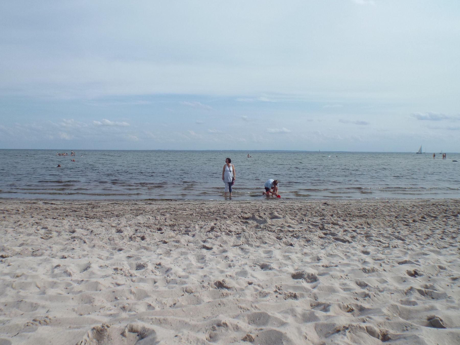 20190806077.JPG