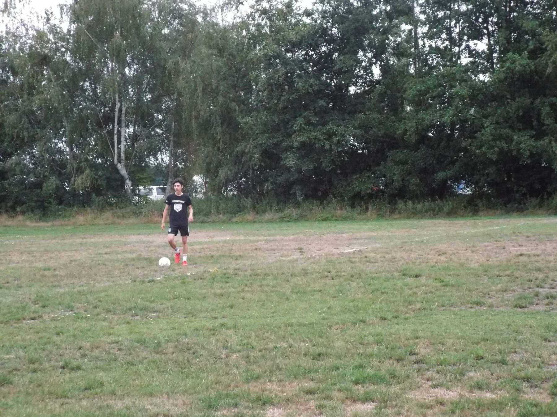 20190806153.JPG