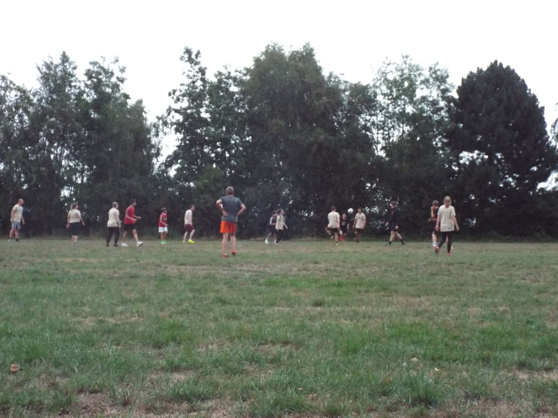 20190806168.JPG