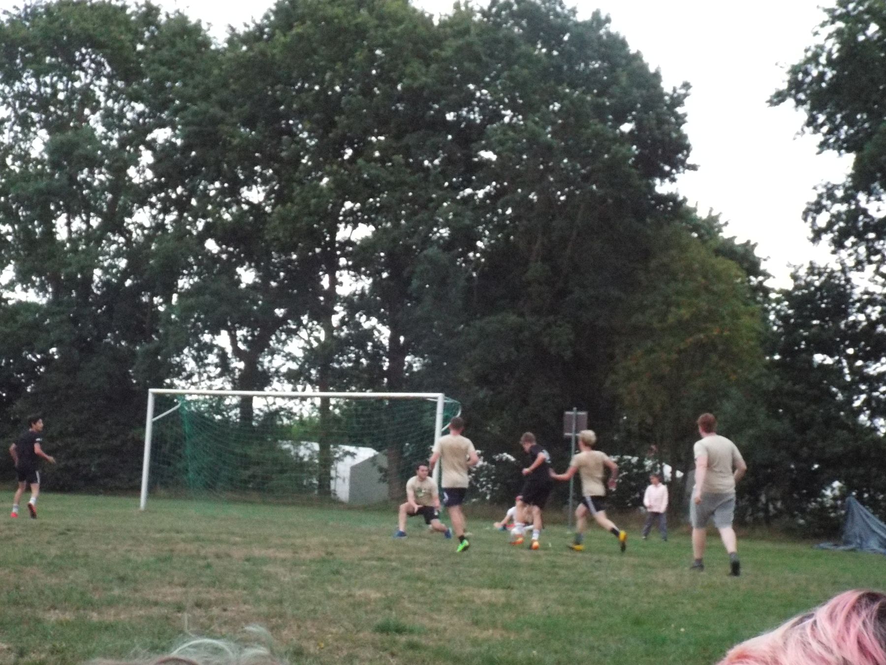 20190806174.JPG