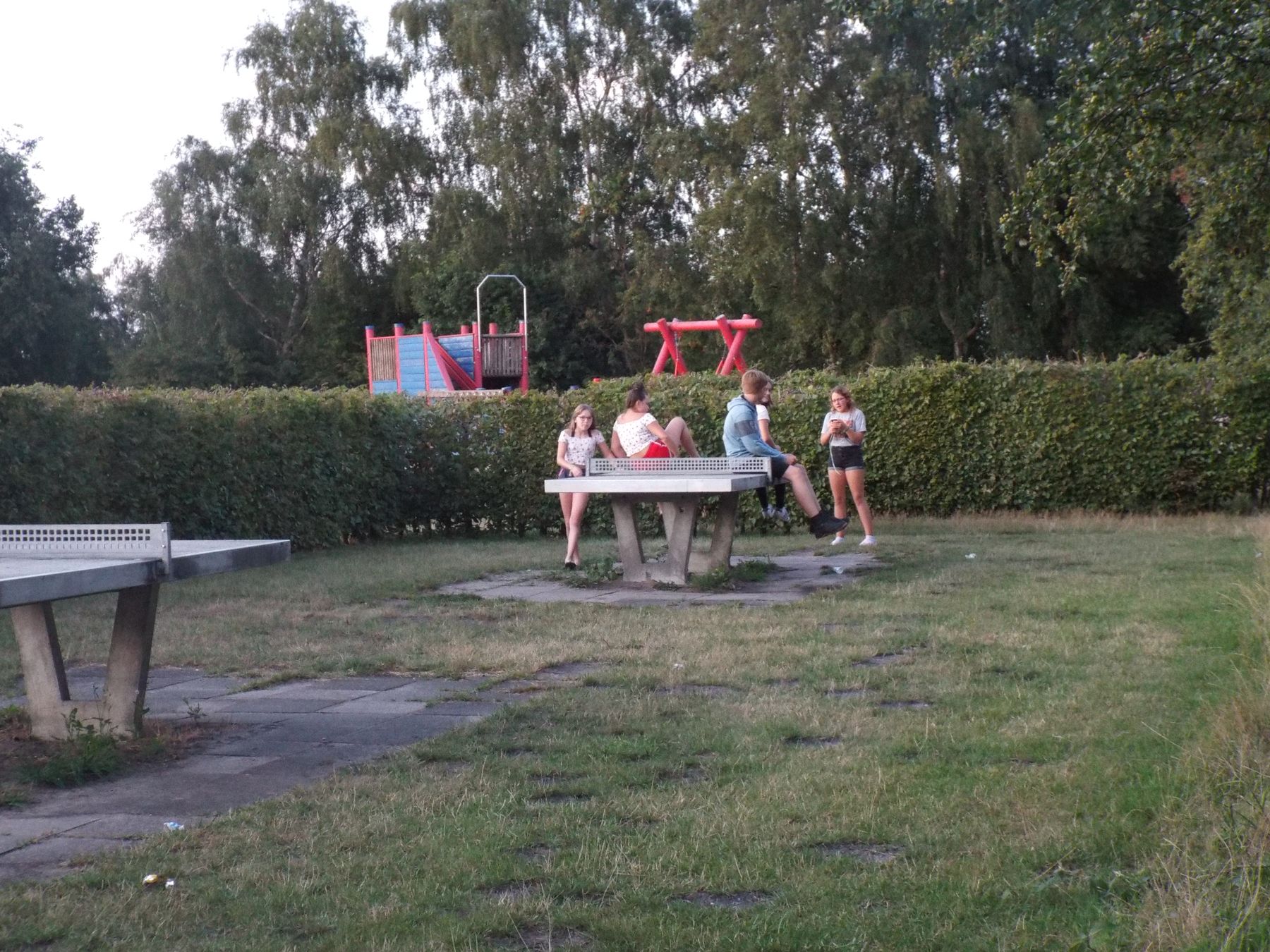 20190807176.jpg