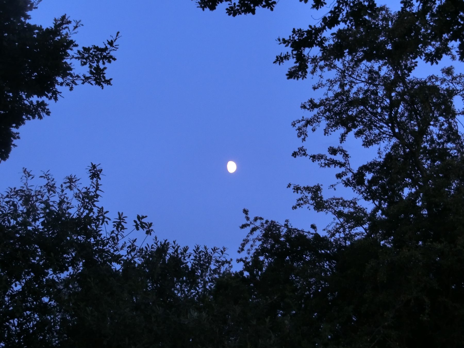 20190810022.JPG