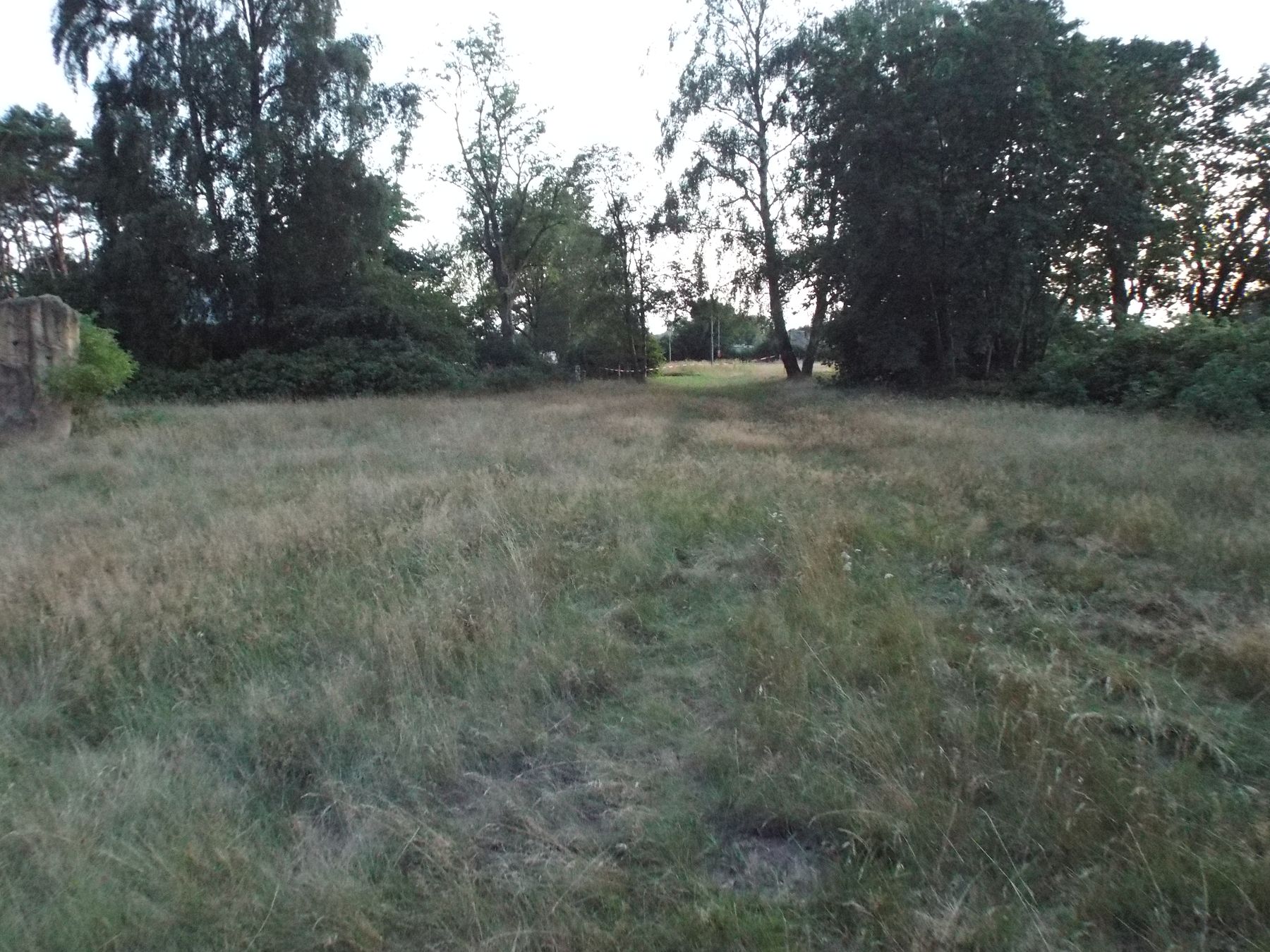 20190810164.JPG