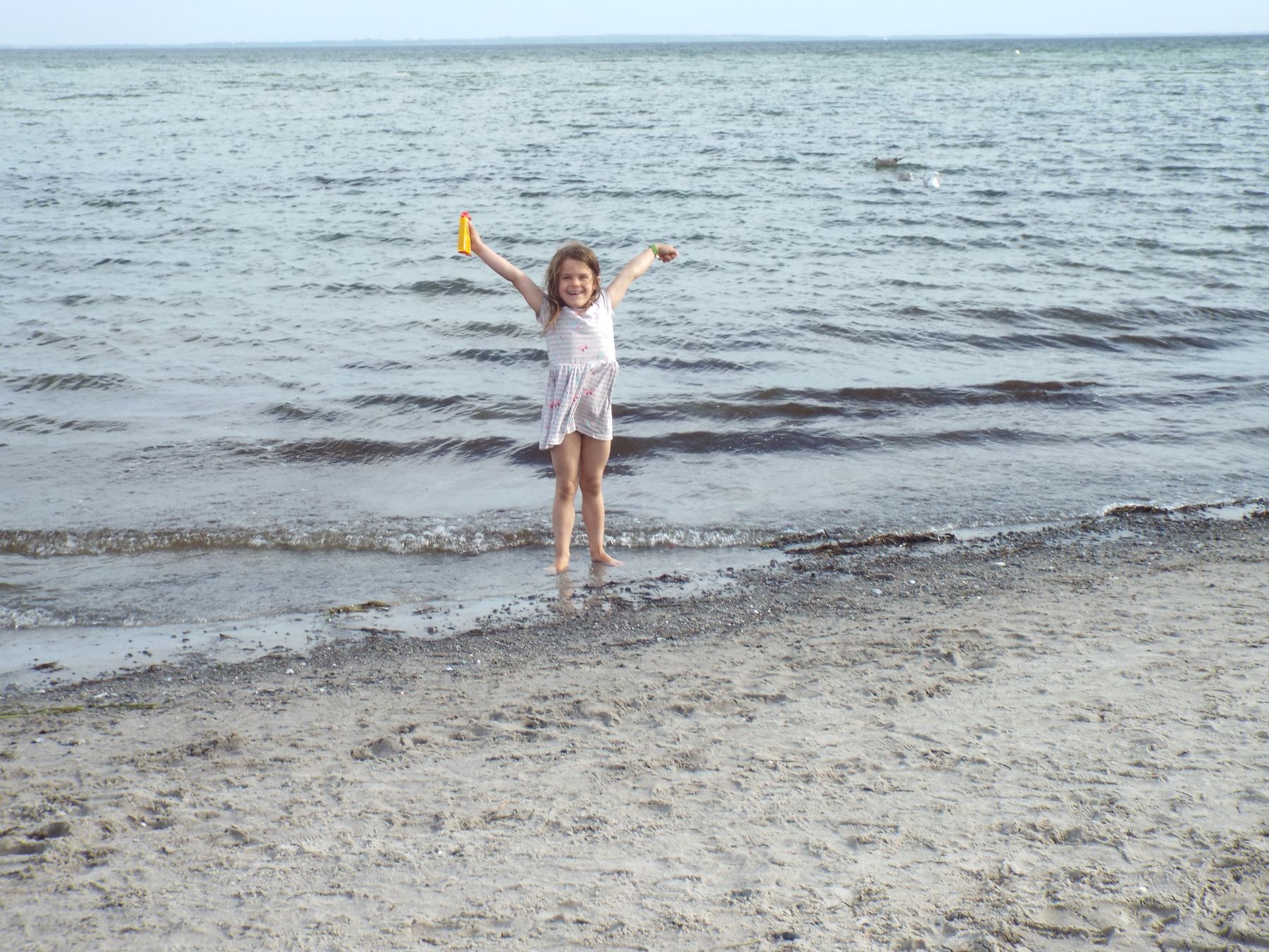 20190811038.JPG