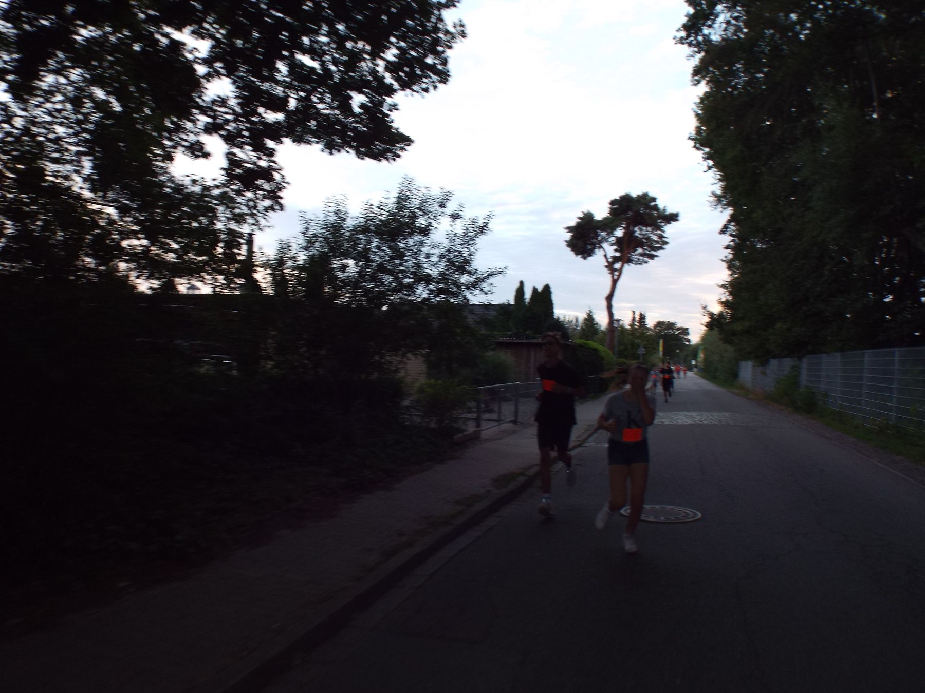 20190811075.JPG